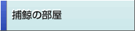 捕鯨の部屋