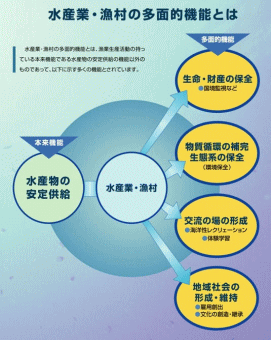 水産業・漁村の多面的機能とは