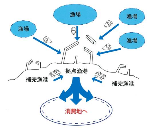 水産物の流通システム