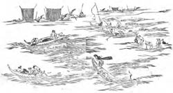 江戸湾の漁業