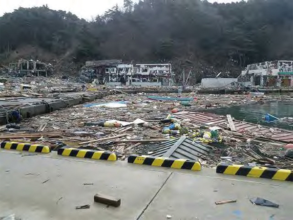 水産庁/瓦礫などの漂流物が覆う漁港（宮城県石巻市）