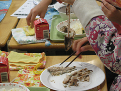出前授業の後の給食で骨に気をつけながら魚を食べる小学生