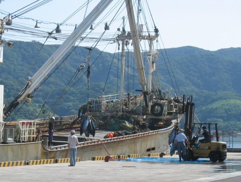 境港に水揚げされる魚と漁船