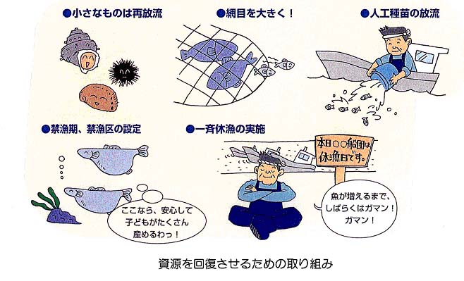 資源を回復させるための取り組み