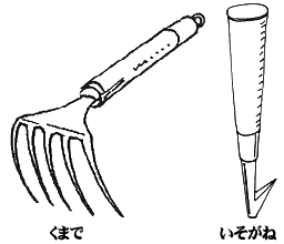 は具