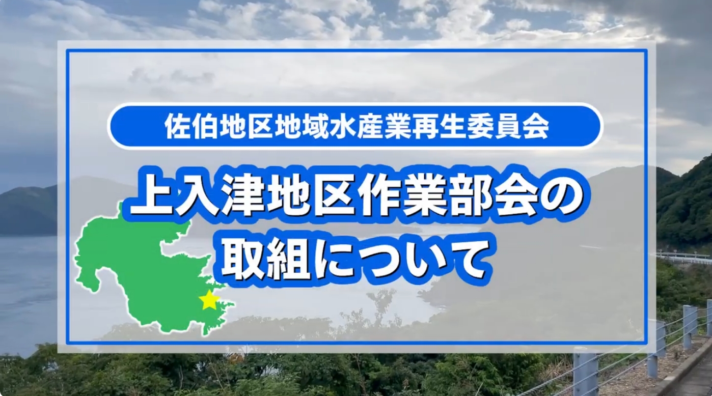 上入津