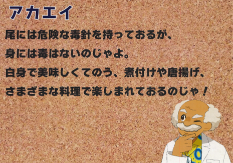 四国