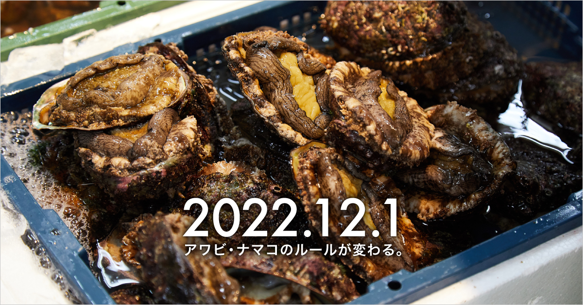 デジタル広報
