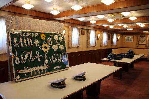 展示内容