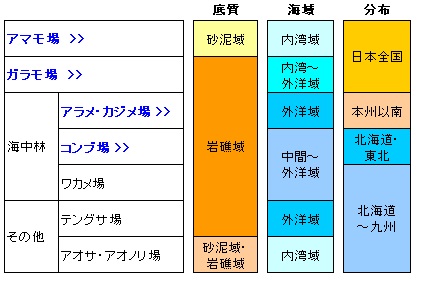 藻場の分類