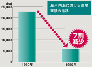 藻場の減少