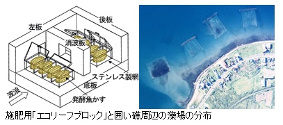 施肥用「エコリーフブロック」と囲い礁周辺の藻場の分布