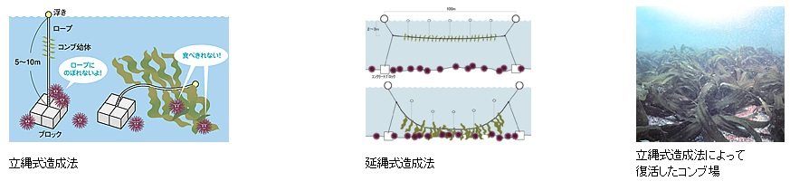 立縄式造成法と延縄式造成法 