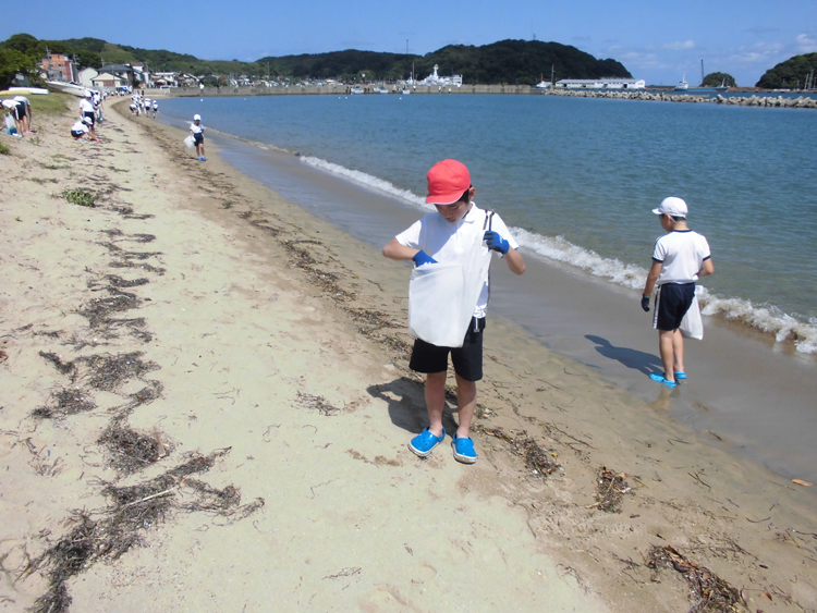 海浜清掃の写真