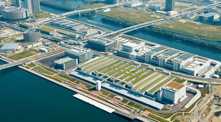 豊洲市場