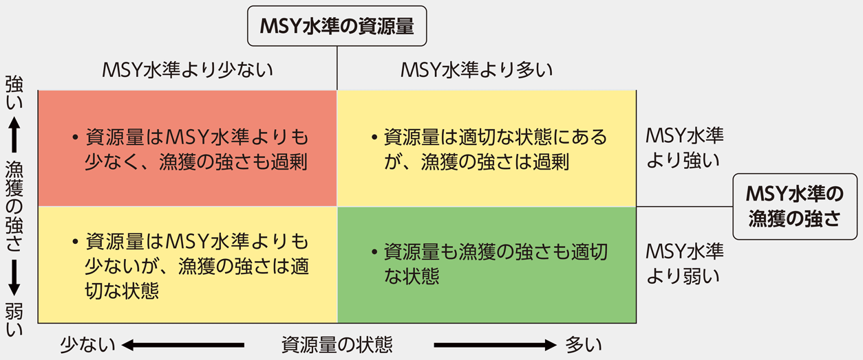 図：神戸チャート