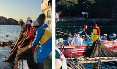 三重県での操業の様子の写真