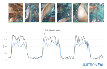 AIが魚の食欲解析結果を表示の写真