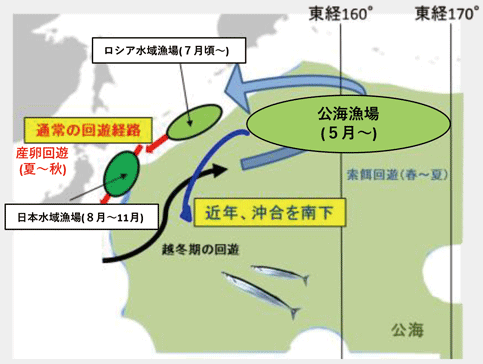 サンマの回遊と漁場形成の概念図