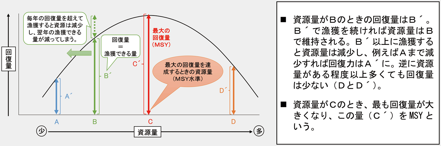 図:資源量と回復量の関係