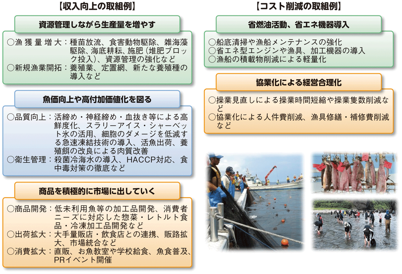 図表2-14 「浜の活力再生プラン」の取組内容の例