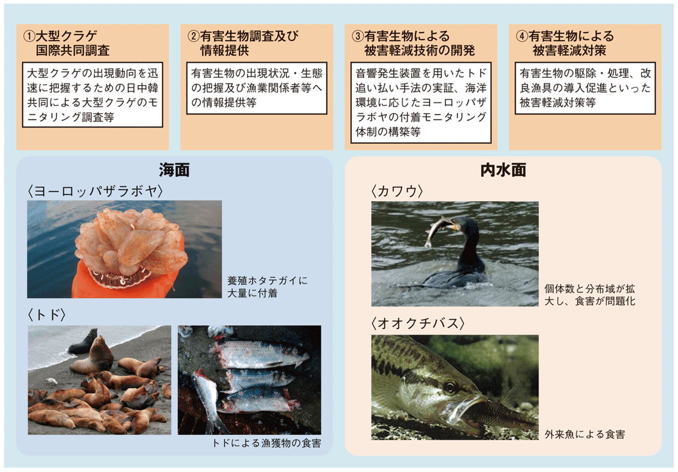 図表3-29 野生生物による漁業被害対策の例