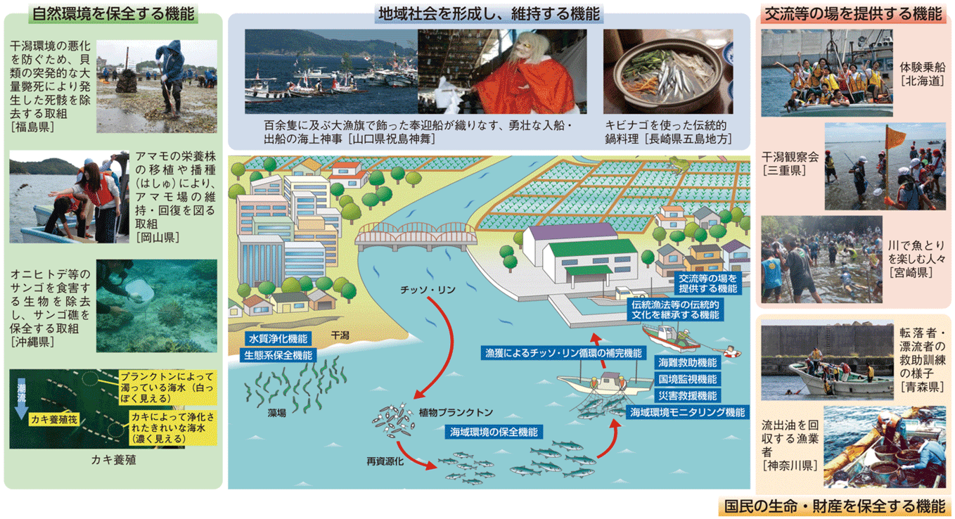 図表5-5 漁業・漁村の多面的機能