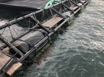 海洋生分解性プラスチックを用いたフロートの実証試験