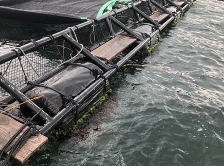 海洋生分解性プラスチックを用いたフロートの実証試験