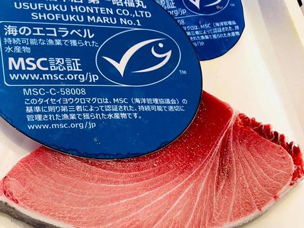 エコラベル付のタイセイヨウクロマグロ