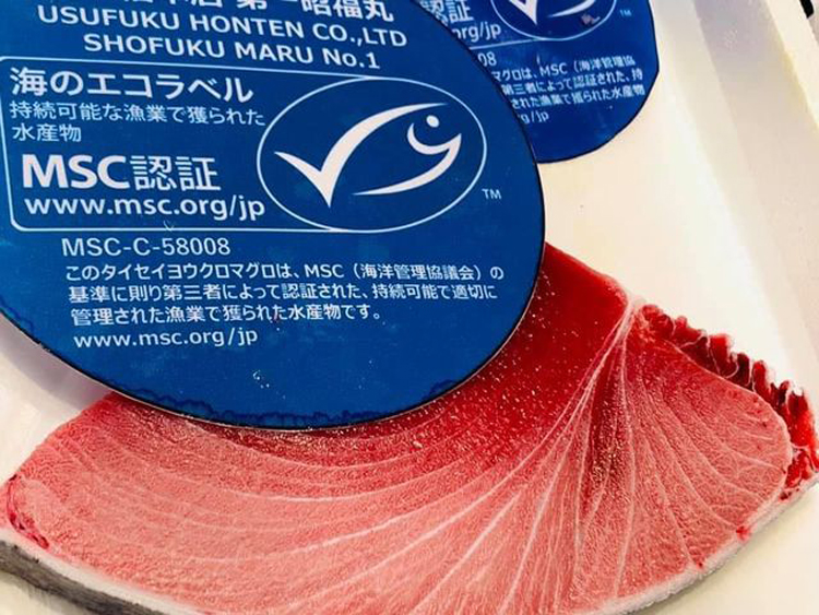 エコラベル付のタイセイヨウクロマグロ
