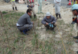 希少生物調査
