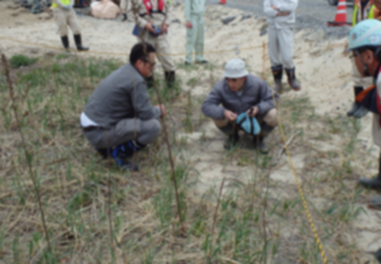 希少生物調査
