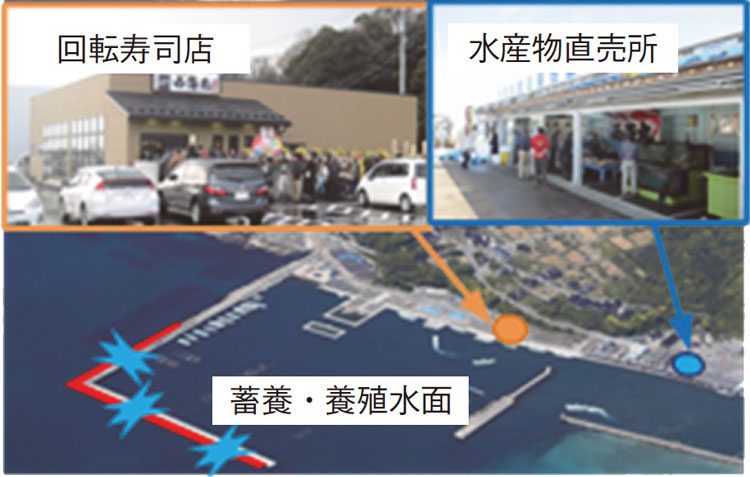走（はしり）漁港（広島県福山（ふくやま）市(走島（はしりじま）)）