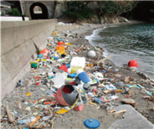 海岸に漂着したプラスチックごみ