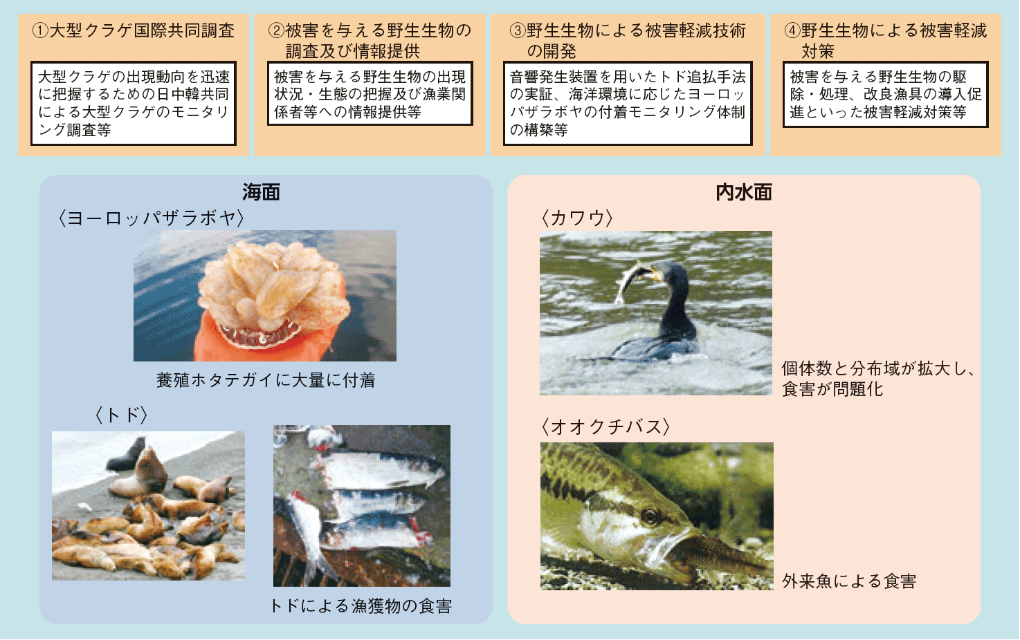 図表3-26 野生生物による漁業被害対策の例
