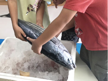 鮮魚タッチの様子