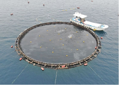円形大型浮沈式生簀