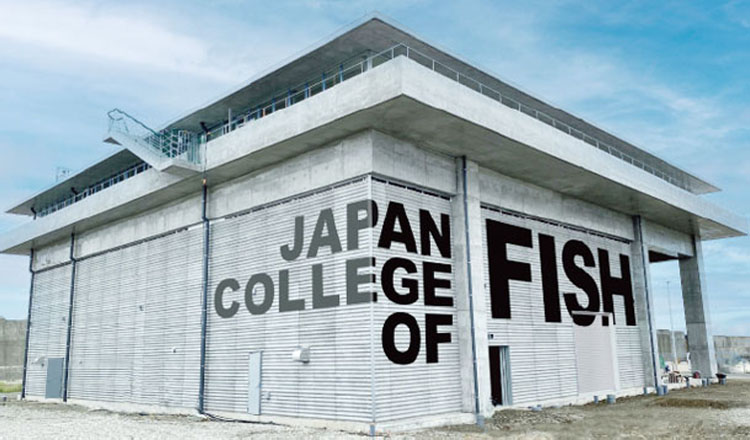 日本さかな専門学校