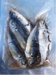 魚のペットフード