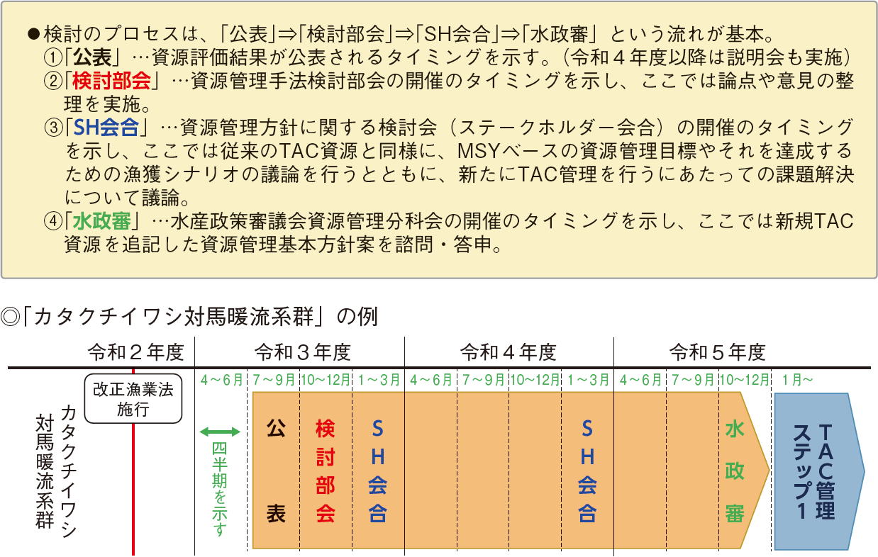 図表3-8 TAC資源拡大に向けた検討プロセス
