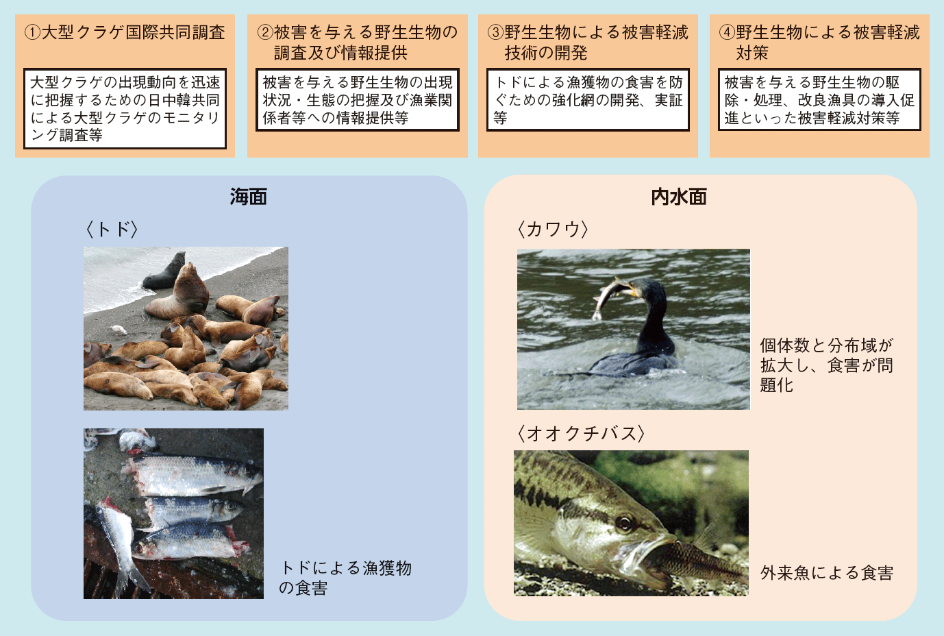 図表3-29 野生生物による漁業被害対策の例