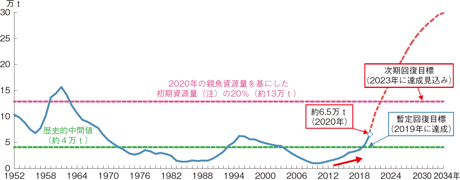 図表4-10 太平洋クロマグロの親魚資源量の回復予測~現行措置を継続した場合~