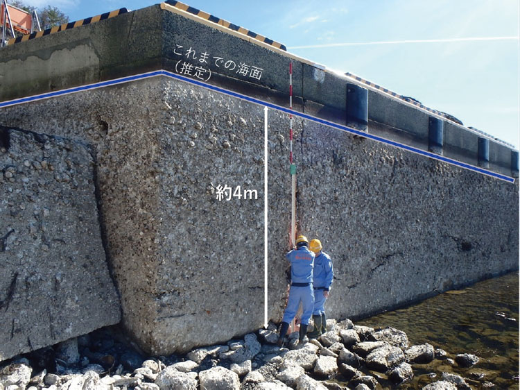 現地調査で約4mの隆起を確認（鹿磯（かいそ）漁港 画像提供：国土地理院）
