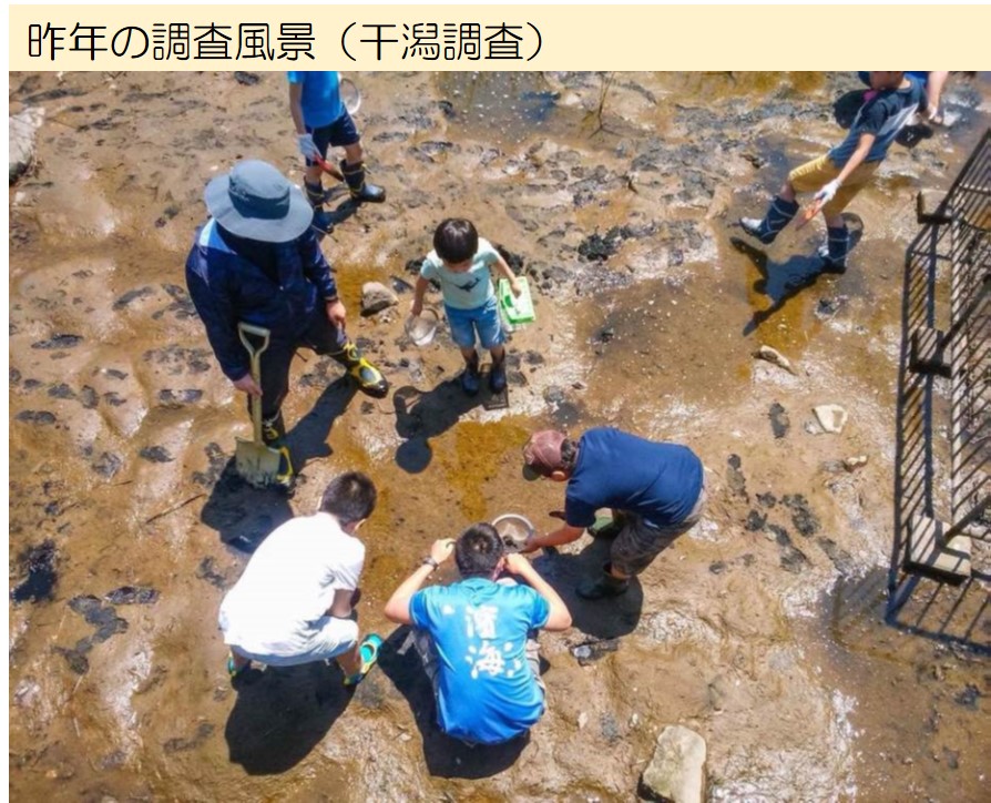 昨年の調査風景(干潟調査)