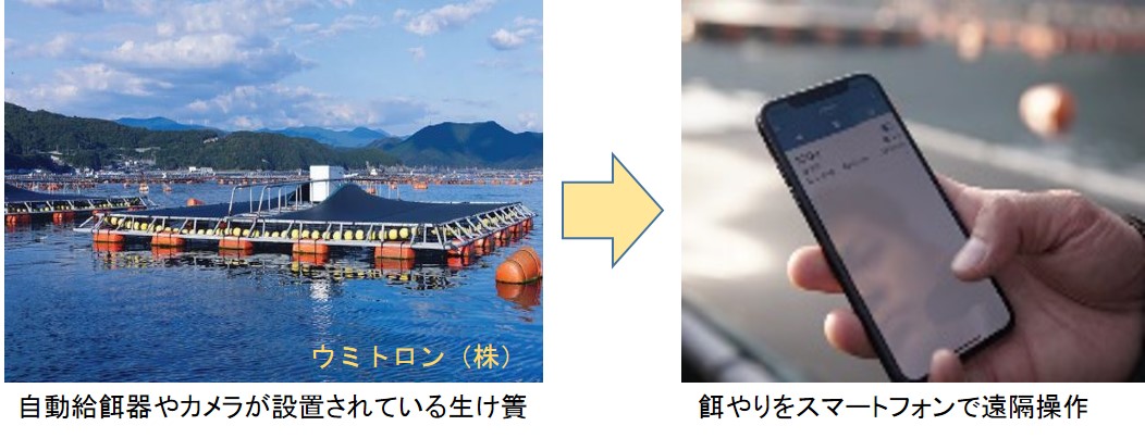 スマート水産業１
