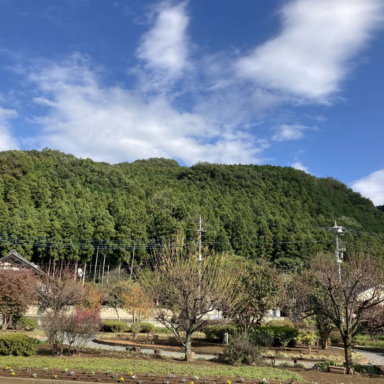 山の画像