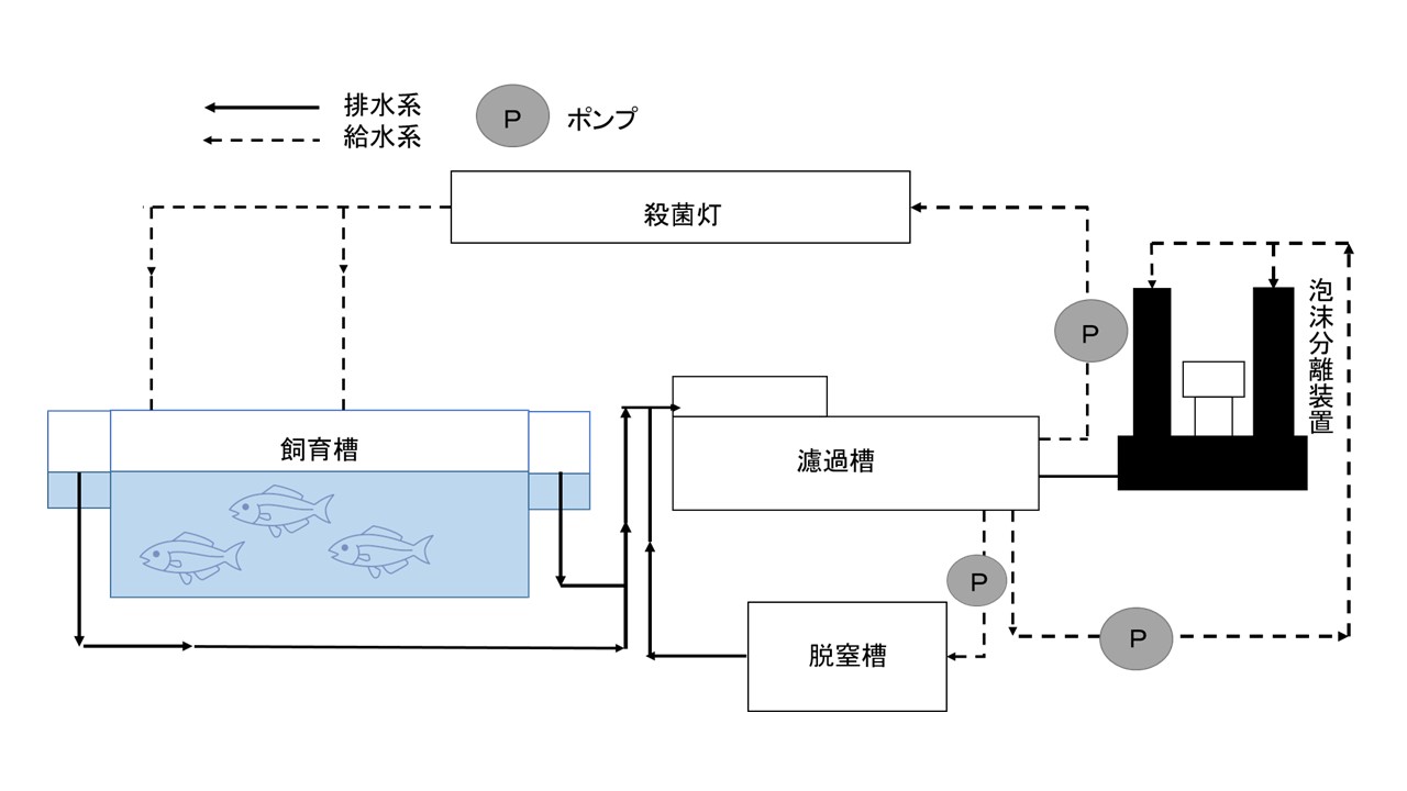 閉鎖循環式陸上養殖の一般的なシステムの図