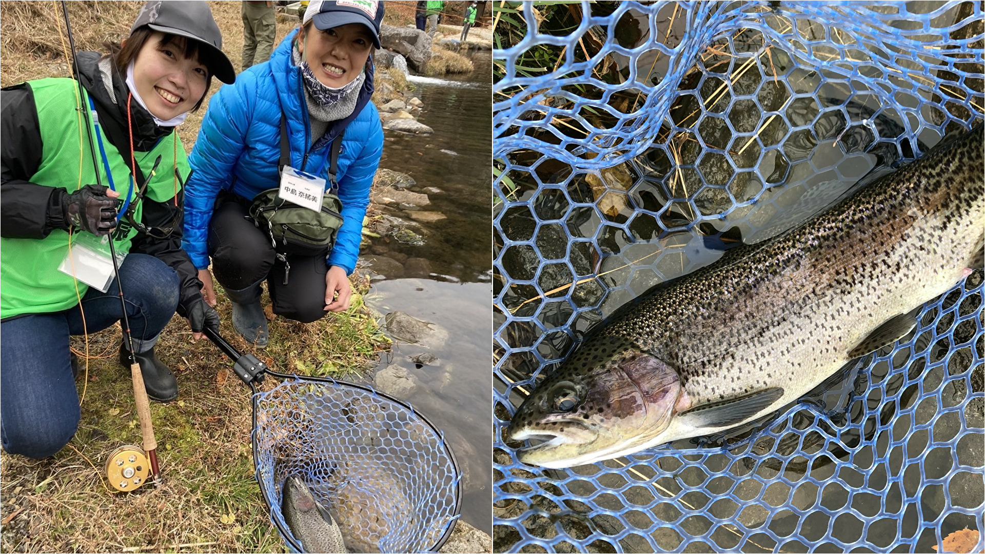 「頂鱒」が釣れた