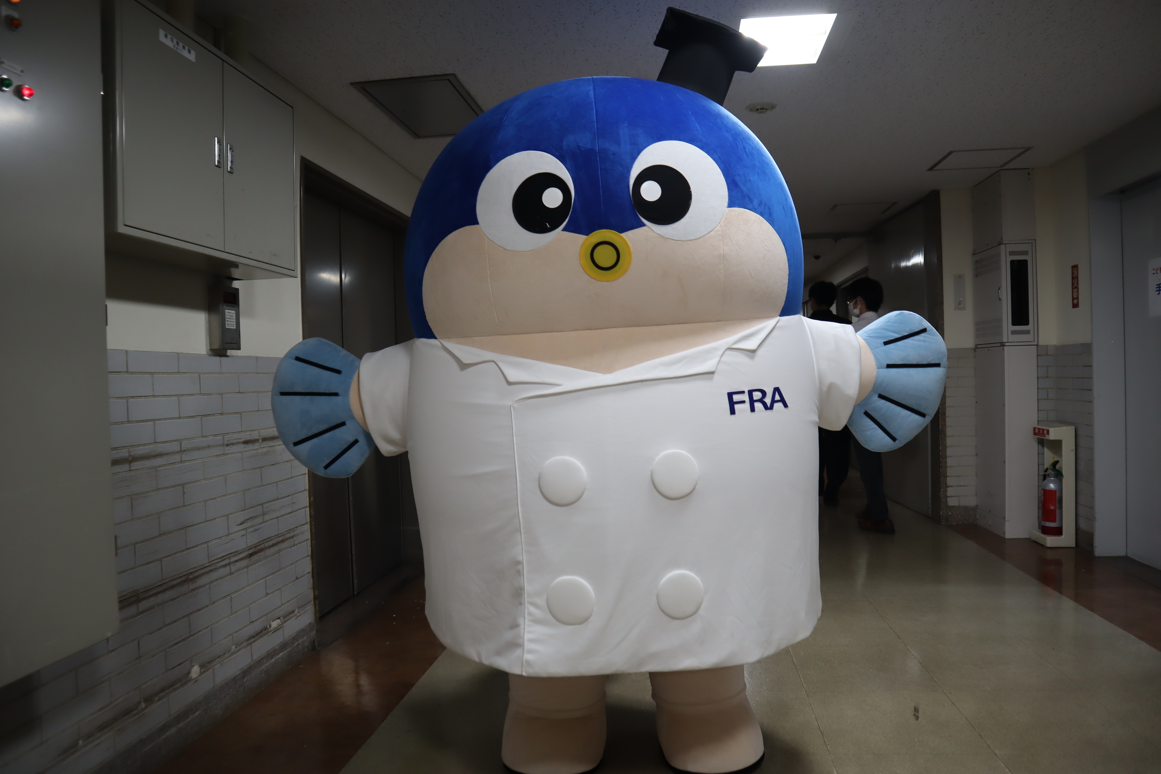 フグのフックんが登場
